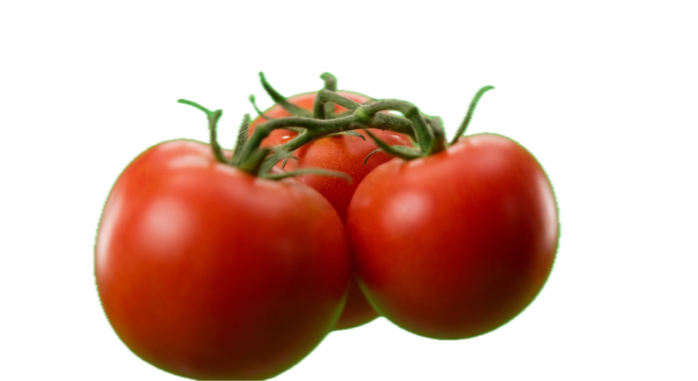 Fresh red vine tomatoes in the foreground